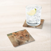 ライオンの子 スクエアペーパーコースター (インサイチュ)