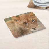 ライオンの子 スクエアペーパーコースター (アングル)