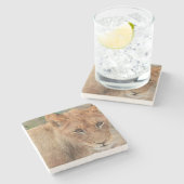 ライオンの子 ストーンコースター (横)