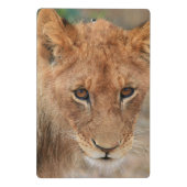 ライオンの子 ミニクリップボード (裏面)