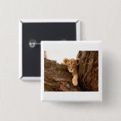 ライオンの子 缶バッジ (正面&裏面)