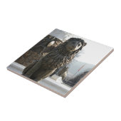 ライオンの彫像 タイル (側面)