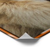 ライオンの怒鳴りポスター ポスター (角)