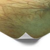 ライオンの愛1 ポスター (角)