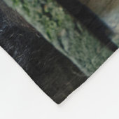 ライオンの愛 フリースブランケット (角)