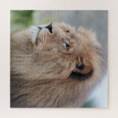 ライオンの抱擁 ジグソーパズル (横)