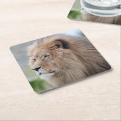 ライオンの抱擁 スクエアペーパーコースター (アングル)