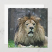 ライオンの招待状 招待状 (正面/裏面)