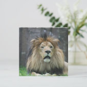 ライオンの招待状 招待状 (スタンド正面)