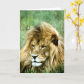 ライオンの挨拶状 カード (黄色い花)