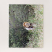 ライオンの散歩 ジグソーパズル (縦)