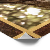 ライオンの木の写真 ポスター (角)