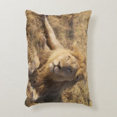 ライオンの枕 アクセントクッション (正面(垂直))