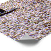 ライオンの泉、アルハンブラ、グラナダ。 ポスター (角)