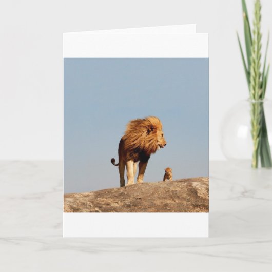 ライオンの王（大人のライオンと仔） カード (正面)