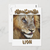 ライオンの男性 – 野生動物のサファリポストカード ポストカード (正面/裏面)