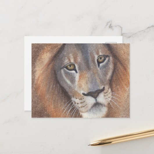 ライオンの目 ポストカード (正面/裏面インサイチュ)