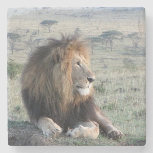 ライオンの石造りのコースター ストーンコースター (正面)