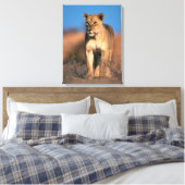 ライオンの肖像画 (Panthera leo) キャンバスプリント (インサイチュ (寝室))