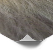 ライオンの視線 ポスター (角)