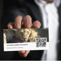 ライオンの視線 |野生生物の写真 |