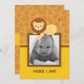 ライオンの誕生の発表カード 案内状 (正面/裏面)