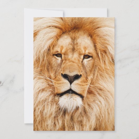 ライオンの誕生日パーティー 招待状 (正面)