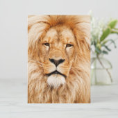 ライオンの誕生日パーティー 招待状 (スタンド正面)