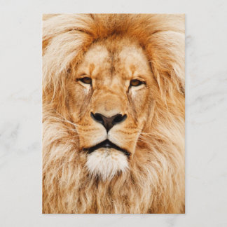 ライオンの誕生日パーティー 招待状