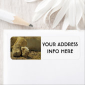 ライオンの足 ラベル (インサイチュ)