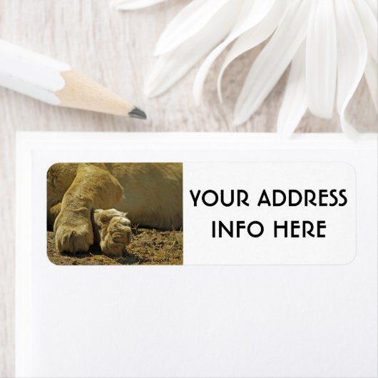 ライオンの足 ラベル (インサイチュ)