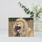 ライオンの轟音 ポストカード (スタンド正面)