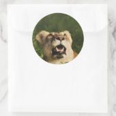 ライオンの野生動物サファリのシール ラウンドシール (バッグ)