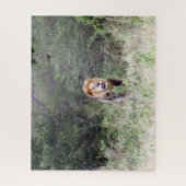 ライオンの雄 ジグソーパズル (縦)