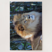 ライオンの雄 ジグソーパズル (縦)