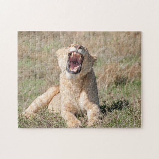 ライオンの雌が吠えるパズル ジグソーパズル (横)