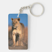 ライオンの雌 (Panthera Leo) キーホルダー (裏面)