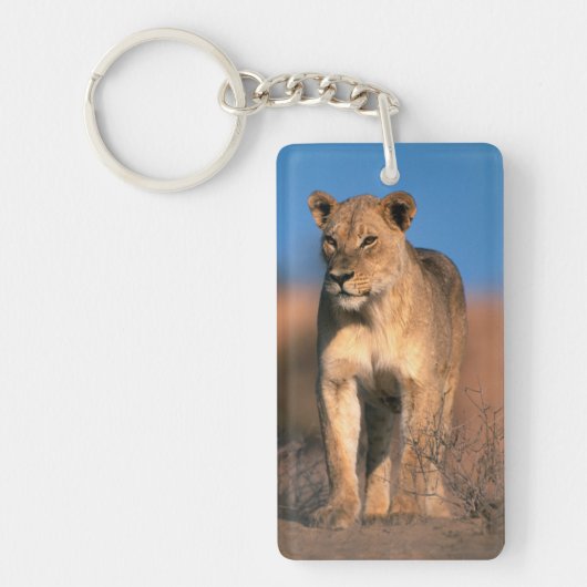 ライオンの雌 (Panthera Leo) キーホルダー (正面)