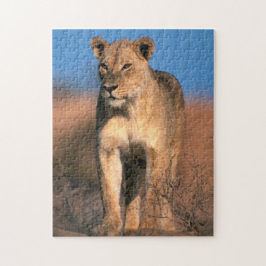 ライオンの雌 (Panthera Leo) ジグソーパズル (縦)