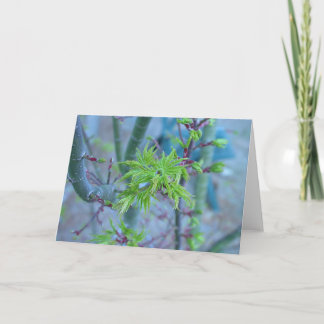 ライオンの鬣の日本のなかえで カード