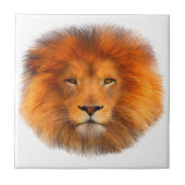 ライオンの鬣 タイル (正面)