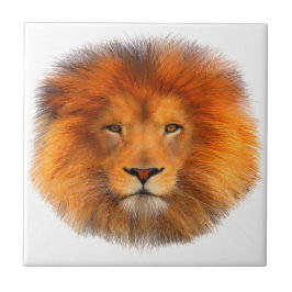 ライオンの鬣 タイル