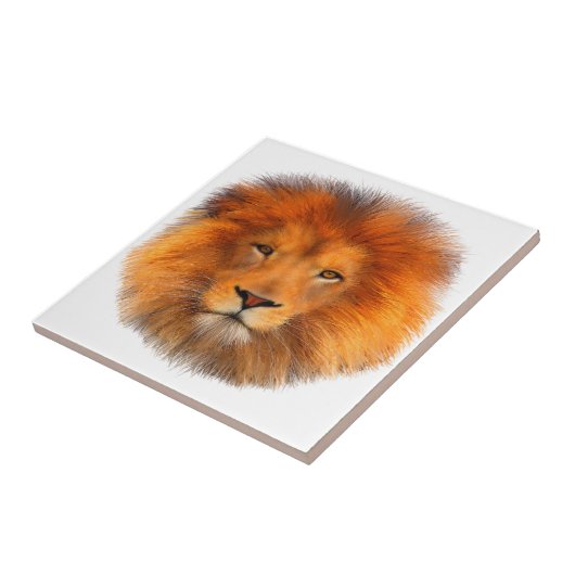 ライオンの鬣 タイル (側面)