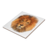 ライオンの鬣 タイル (側面)