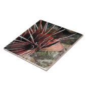 ライオンの魚のタイル タイル (側面)