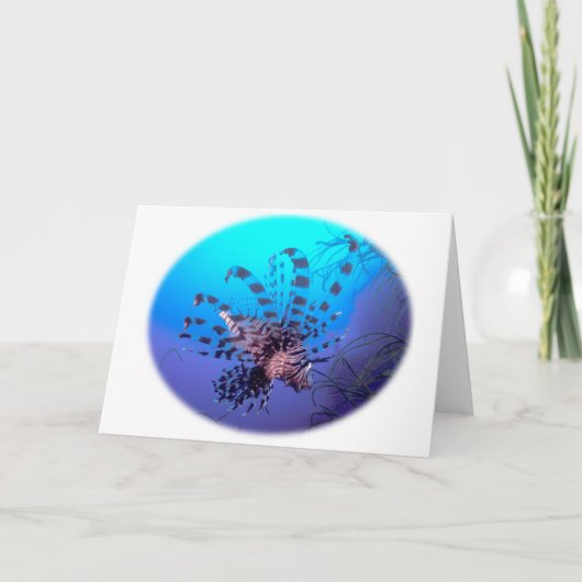 ライオンの魚の挨拶状 カード (正面)