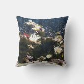 ライオンの魚飼育用の水槽の枕箱 クッション (裏面)