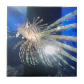 ライオンの魚 タイル (正面)