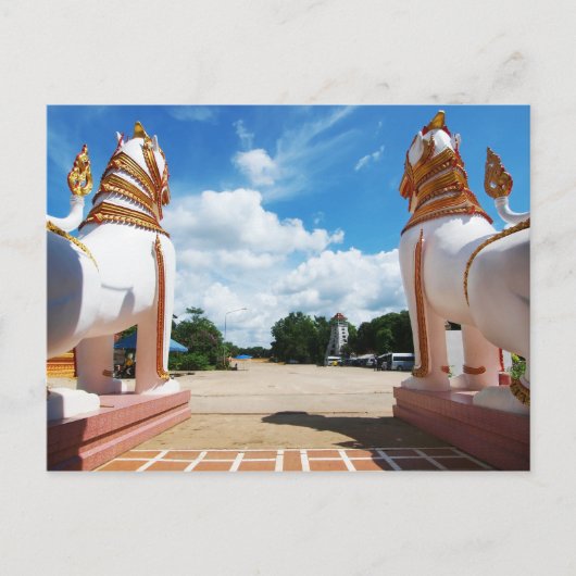 ライオンアイビュー ポストカード (正面)