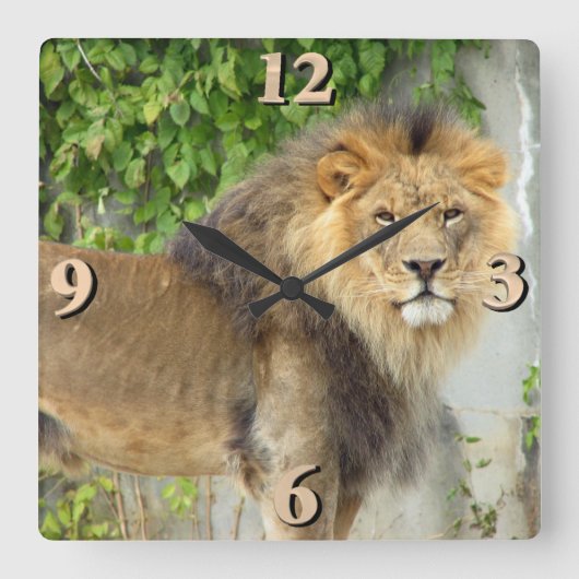 ライオンアットマサイマラ2 スクエア壁時計 (正面)